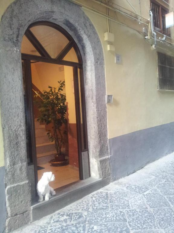 Dei Gerolomini Hotel Naples Luaran gambar